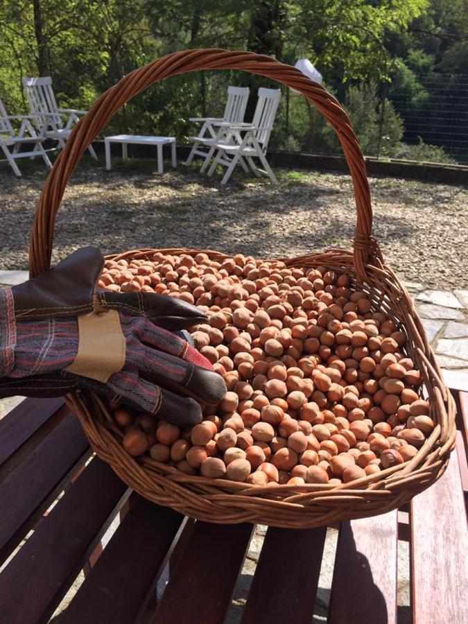 Tenuta Nissole Rocchetta Tanaro Εξωτερικό φωτογραφία